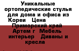 Уникальные ортопедические стулья для дома и офиса из Кореи › Цена ­ 15 000 - Приморский край, Артем г. Мебель, интерьер » Диваны и кресла   